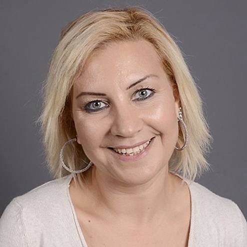 Hava İbişler